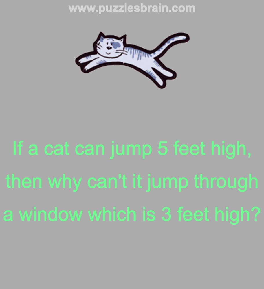 Why cannot cat jump through window fun riddle - Puzzles, Riddles and  Brainteasers