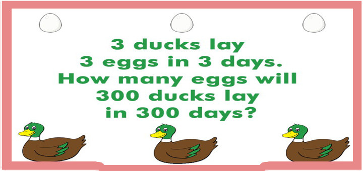  3-ducks-3-eggs-3-days-then-300-riddles