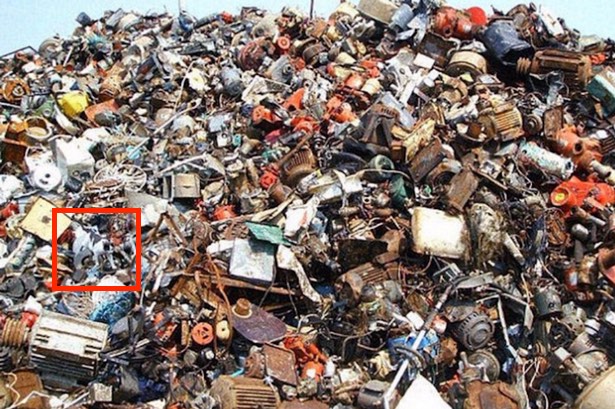  find-the-cat-in-trash-puzzle-picture-Answer