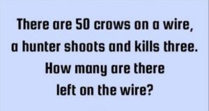 50-crow-shoots-brainteaser-Answer