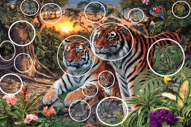  how-many-tigers-in-pic-puzzle-answer