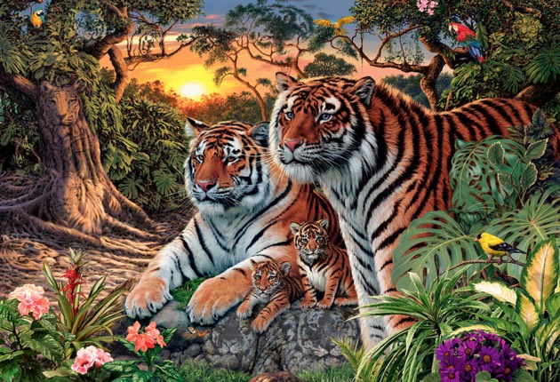  how-many-tigers-in-this-pic