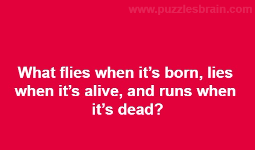  what-flies-born-lies-alive-runs-dead-riddles
