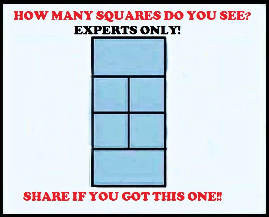 How Many Squares Puzzle