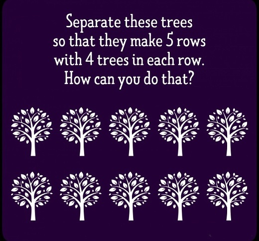 5 rows 4 trees in a row riddle